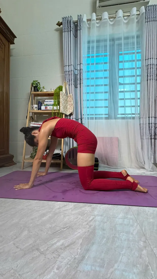 Tâm An tập yoga tại nhà